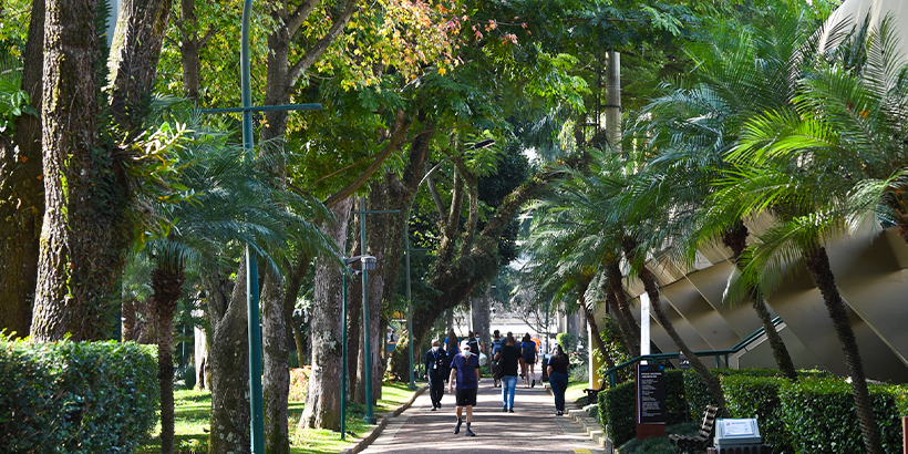 Aulas de xadrez - Esporte Clube Pinheiros