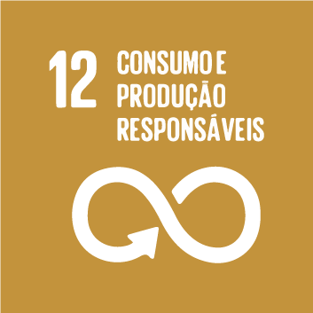 ODS 12
