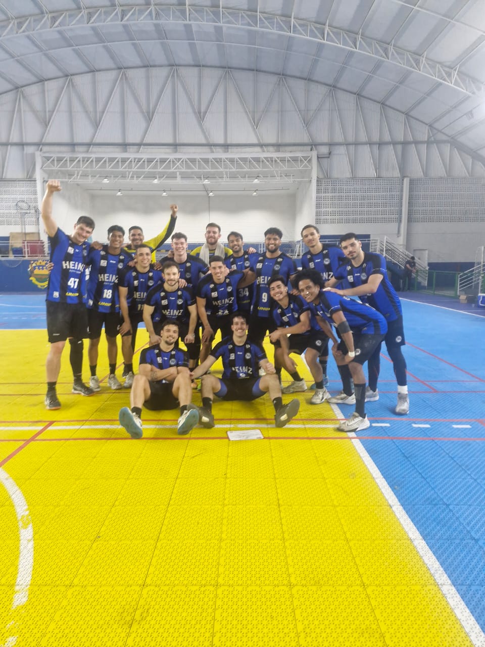 Liga Nacional de Handebol